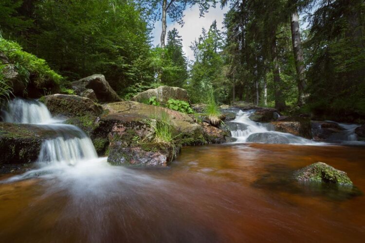 Wandern in unberührter Natur. | © Andreas Levi - Foto-Wandern.com