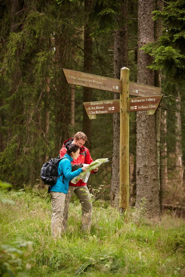 Wandern im Harz ᐅ Die schönsten Wanderwege & Touren
