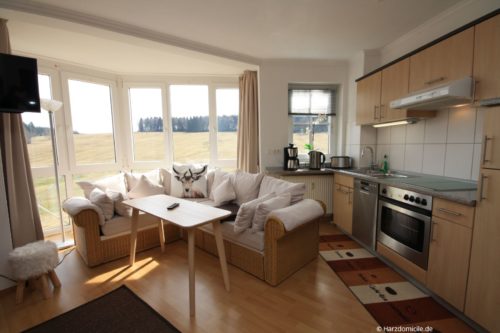 Wohn- /Schlafbereich mit offener Küche – Apartment am Hasselkopflift