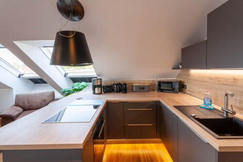 Wohn-/Schlafbereich mit offener Küche