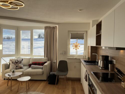 Wohn-/Schlafbereich mit offener Küche