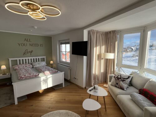 Wohn-/Schlafbereich mit offener Küche