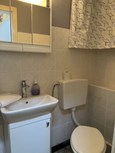 Badezimmer 2